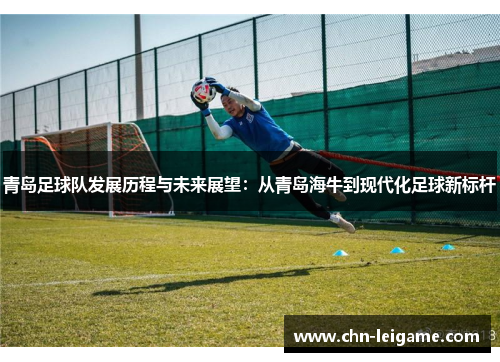 青岛足球队发展历程与未来展望：从青岛海牛到现代化足球新标杆