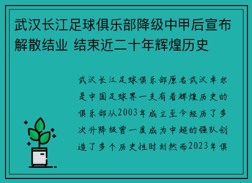 武汉长江足球俱乐部降级中甲后宣布解散结业 结束近二十年辉煌历史