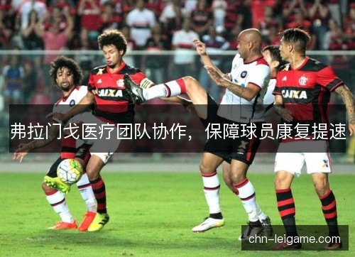 弗拉门戈医疗团队协作，保障球员康复提速